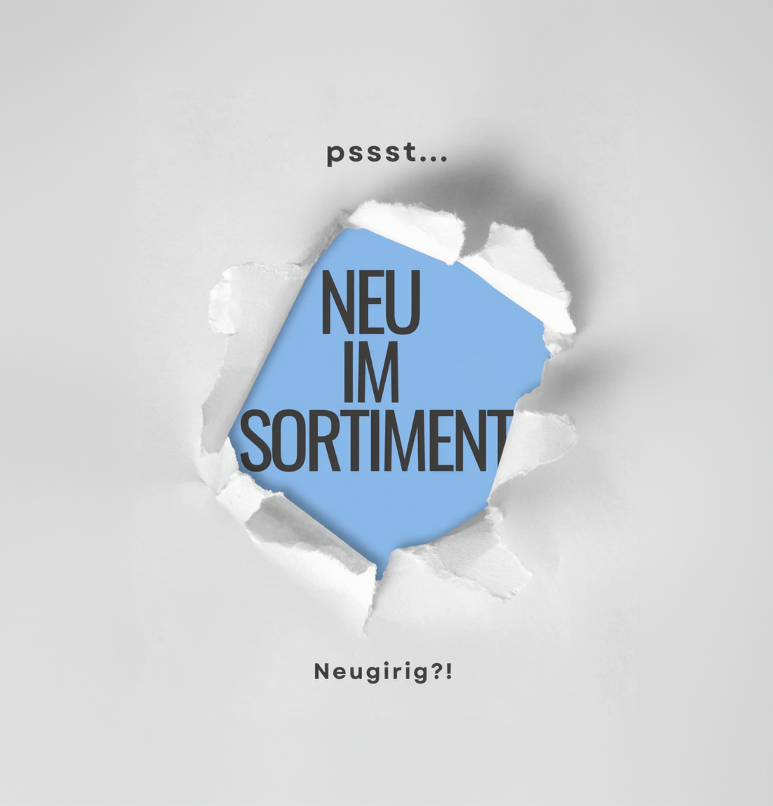 Neue Bodenbürste Merlin Royal